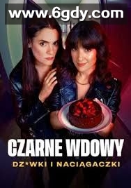 黑寡妇 风月陷阱(2025)完结第8集迅雷网盘全集下载