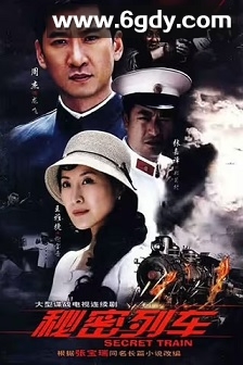 秘密列车(2009)完结24集全迅雷网盘全集下载