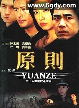 原则(2002)完结已完结迅雷网盘全集下载