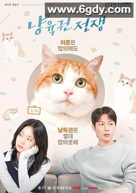 喵育权战争(2025)完结1集全迅雷网盘全集下载