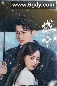 燃心(2024)完结24集全迅雷网盘全集下载