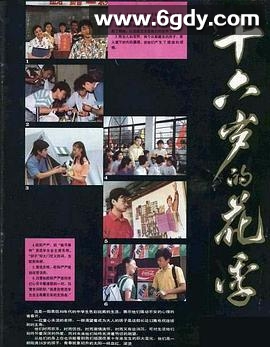 十六岁的花季(1990)完结12集全迅雷网盘全集下载