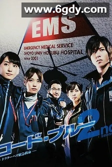 紧急救命2(2010)完结11集全迅雷网盘全集下载