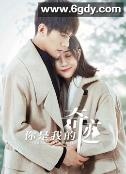 你是我的奇迹(2019)完结已完结迅雷网盘全集下载