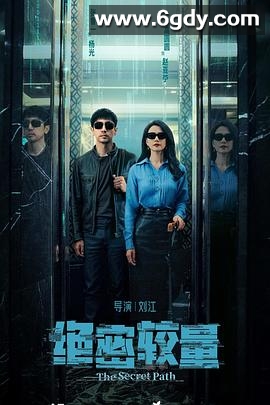 绝密较量(2025)完结28集全迅雷网盘全集下载