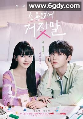 没用的谎言(2023)完结16集全迅雷网盘全集下载