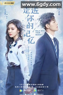 走进你的记忆(2019)完结24集全迅雷网盘全集下载