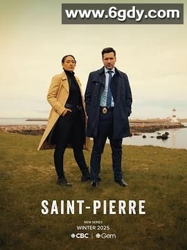 圣皮埃尔罪案(2025)完结已完结迅雷网盘全集下载