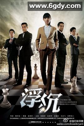 浮沉(2012)完结已完结迅雷网盘全集下载