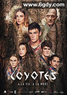 郊狼小分队(2021)完结已完结迅雷网盘全集下载