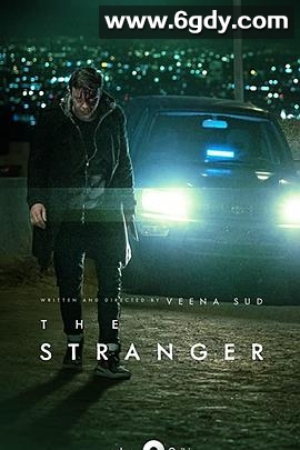 陌生人2020(2020)完结已完结迅雷网盘全集下载