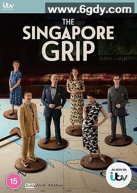 新加坡掌控(2020)完结已完结迅雷网盘全集下载