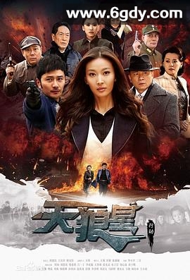 天狼星行动(2013)完结已完结迅雷网盘全集下载