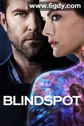 盲点 第三季(2017)完结22集全迅雷网盘全集下载