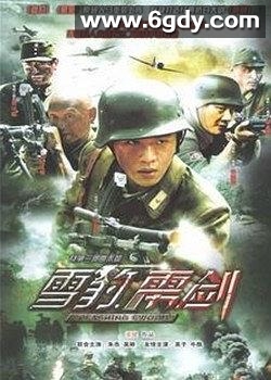雳剑(2013)完结已完结迅雷网盘全集下载