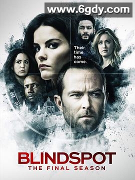 盲点 第五季(2020)完结11集全迅雷网盘全集下载