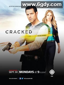 心灵缉凶 第二季(2013)完结已完结迅雷网盘全集下载