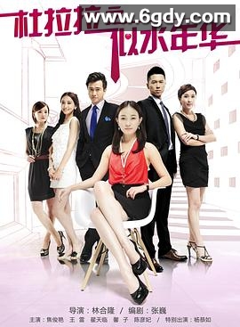 杜拉拉之似水年华(2013)完结已完结迅雷网盘全集下载