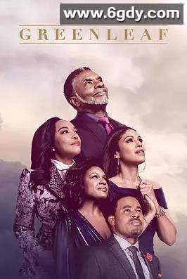 绿叶 第四季(2019)完结已完结迅雷网盘全集下载