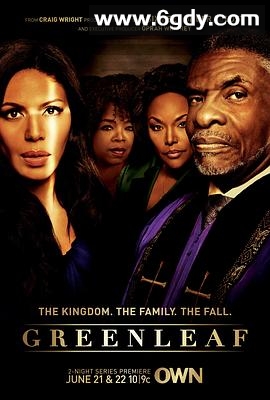 绿叶 第一季(2016)完结已完结迅雷网盘全集下载