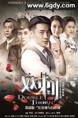 双刺(2016)完结更新至第42集迅雷网盘全集下载