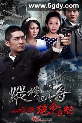 绝命追踪(2015)完结已完结迅雷网盘全集下载