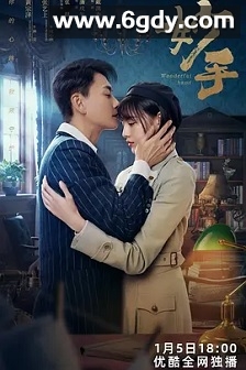 妙手(2023)完结23集全迅雷网盘全集下载