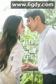 我在顶峰等你(2025)完结23集全迅雷网盘全集下载