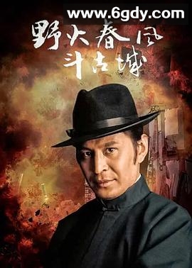 野火春风斗古城2005(2005)完结已完结迅雷网盘全集下载