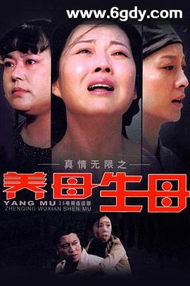 真情无限之养母生母(2009)完结已完结迅雷网盘全集下载