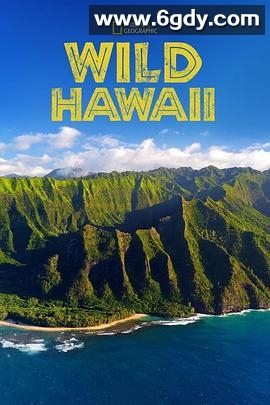 野性夏威夷 第一季(2014)完结已完结迅雷网盘全集下载