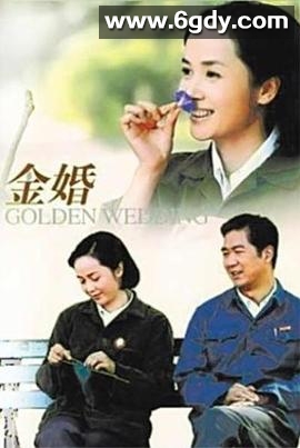 金婚(2007)完结全50集迅雷网盘全集下载