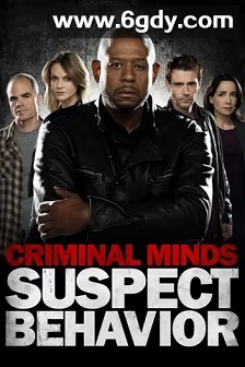 犯罪心理：嫌疑犯行为(2011)完结13集全迅雷网盘全集下载