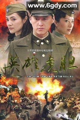 英雄虎胆2007(2007)完结已完结迅雷网盘全集下载