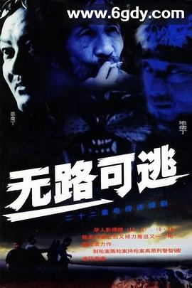 无路可逃2004(2004)完结已完结迅雷网盘全集下载