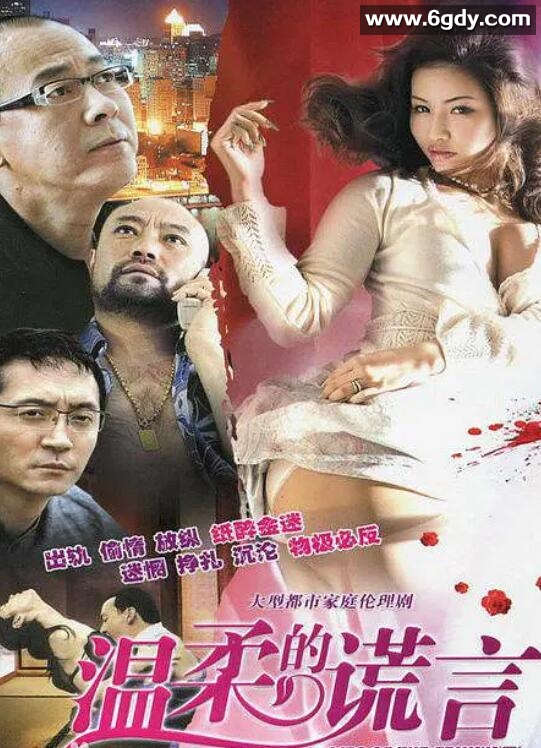 温柔的谎言(2010)完结已完结迅雷网盘全集下载