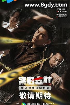 黑白森林(2024)完结28集全迅雷网盘全集下载