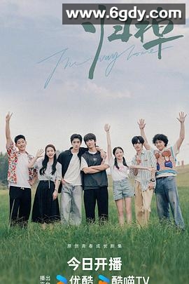 归棹(2024)完结16集全迅雷网盘全集下载