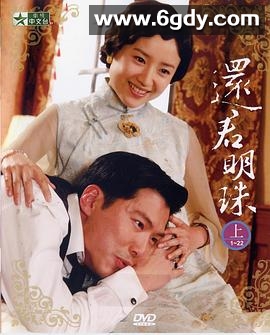 还君明珠(2008)完结已完结迅雷网盘全集下载