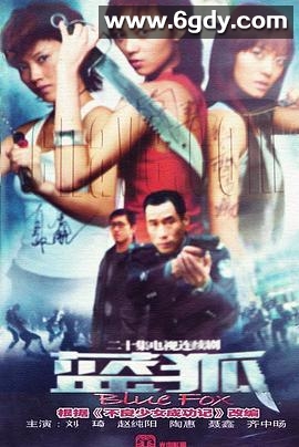 蓝狐(2006)完结已完结迅雷网盘全集下载
