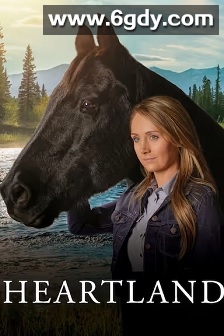 心灵之地 第十四季(2021)完结10集全迅雷网盘全集下载