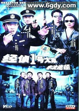 非法途径(2006)完结已完结迅雷网盘全集下载