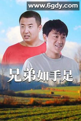 兄弟如手足(2008)完结已完结迅雷网盘全集下载