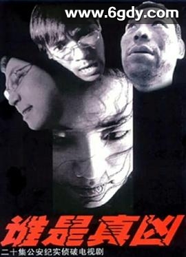 谁是真凶(2005)完结已完结迅雷网盘全集下载