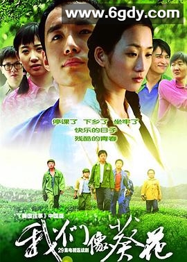 我们像葵花(2006)完结已完结迅雷网盘全集下载