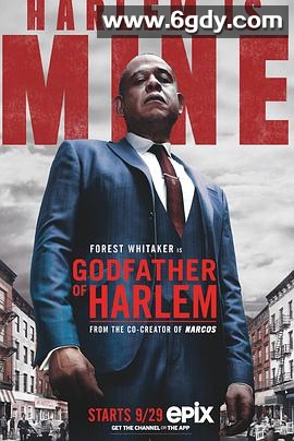 哈林教父 第一季(2019)完结10集全迅雷网盘全集下载