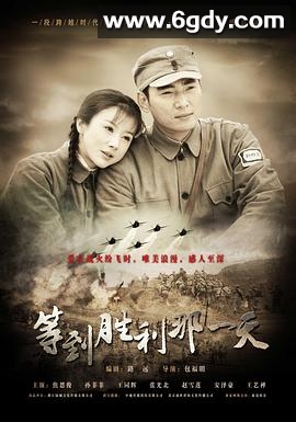 等到胜利那一天(2010)完结已完结迅雷网盘全集下载