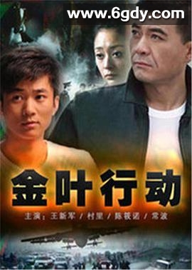 金叶行动(2006)完结已完结迅雷网盘全集下载
