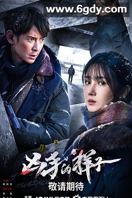 凶手的样子(2024)完结16集全迅雷网盘全集下载