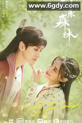 幻乐森林(2024)完结24集全迅雷网盘全集下载